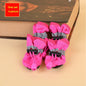 Chaussures pour chien étanche 4pcs