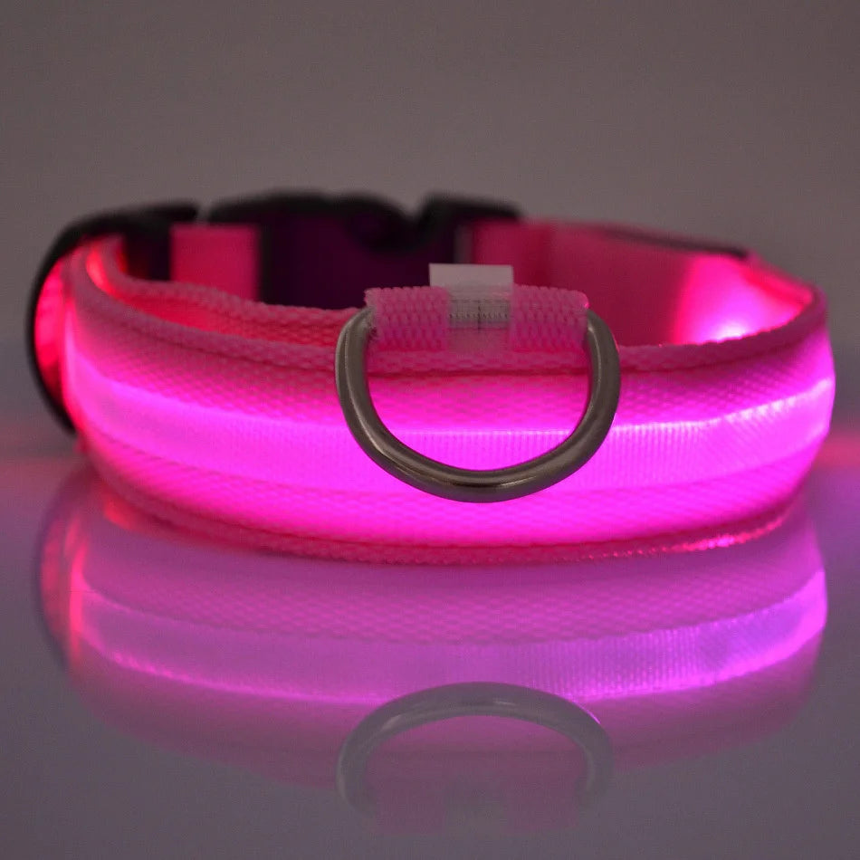 Collier de chien basique équipé d’un système d’éclairage