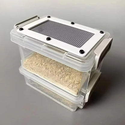 Reptile Feeding Box Transparentk Acrylic Reptile Feeder Food Storage for Lizards Chameleons Mealworms Crickets Dubia Cockroaches