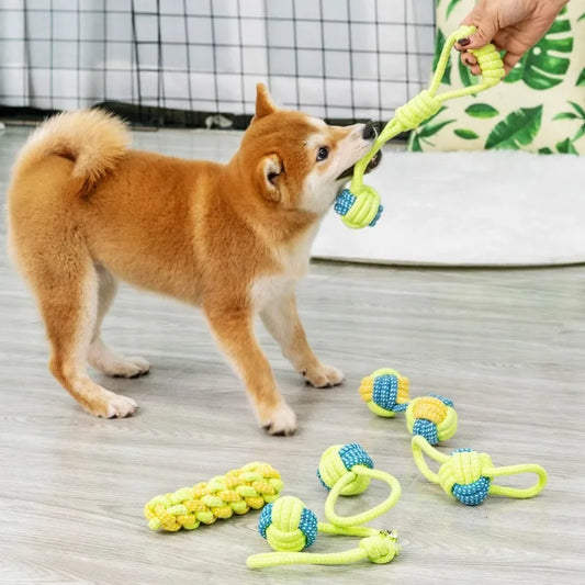 Jouet pour chiens corde d'entrainement