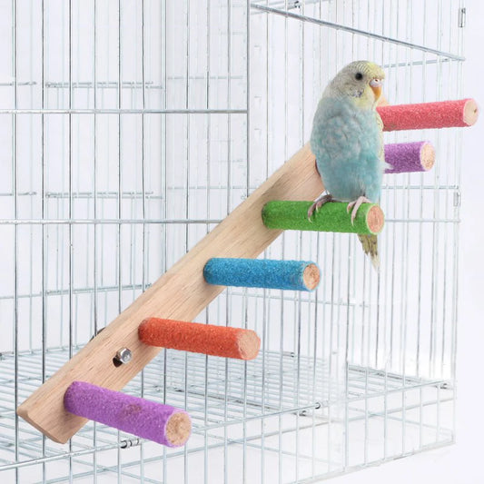 Echelle d’escalade pour oiseaux