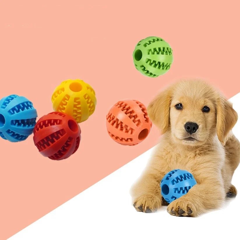Balles distributeur de croquette pour animaux de compagnie