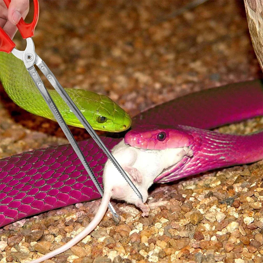 Snake Feeding Tongs Reptile Feeding Tongs Extra Long Tweezers for Bearded Dragon Reptile Tank Accessories Terrarium Supplies