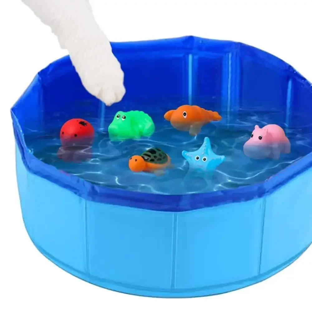 Piscine pour chats, chiots ou autres