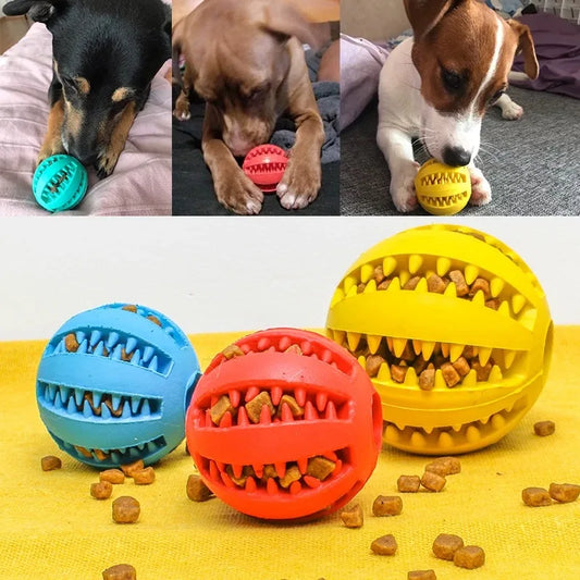 Balles distributeur de croquette pour animaux de compagnie