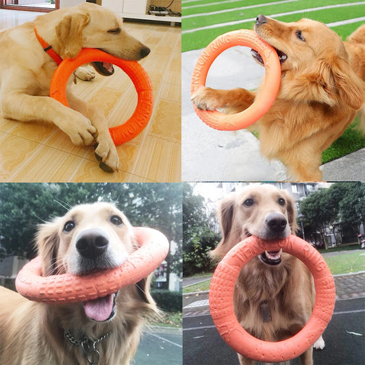 Anneaux jouet pour chien caoutchouc
