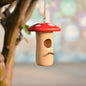 Maison extérieure pour oiseaux