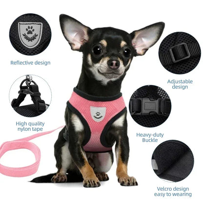 Harnais réglable pour chats et chiens