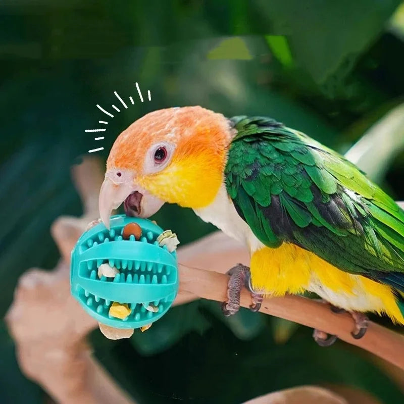 Balles distributeur de croquette pour animaux de compagnie