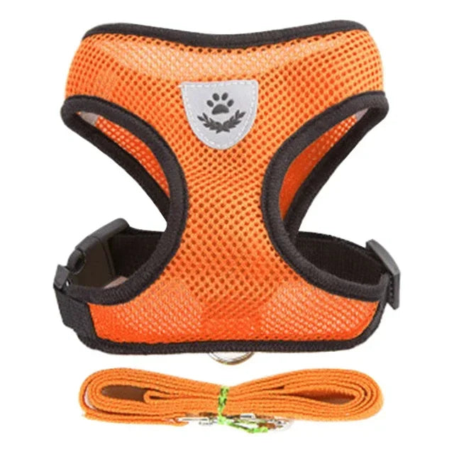 Harnais réglable pour chats et chiens