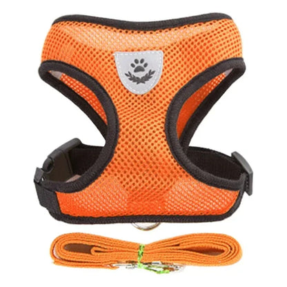 Harnais réglable pour chats et chiens