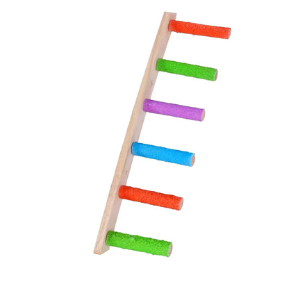 Echelle d’escalade pour oiseaux