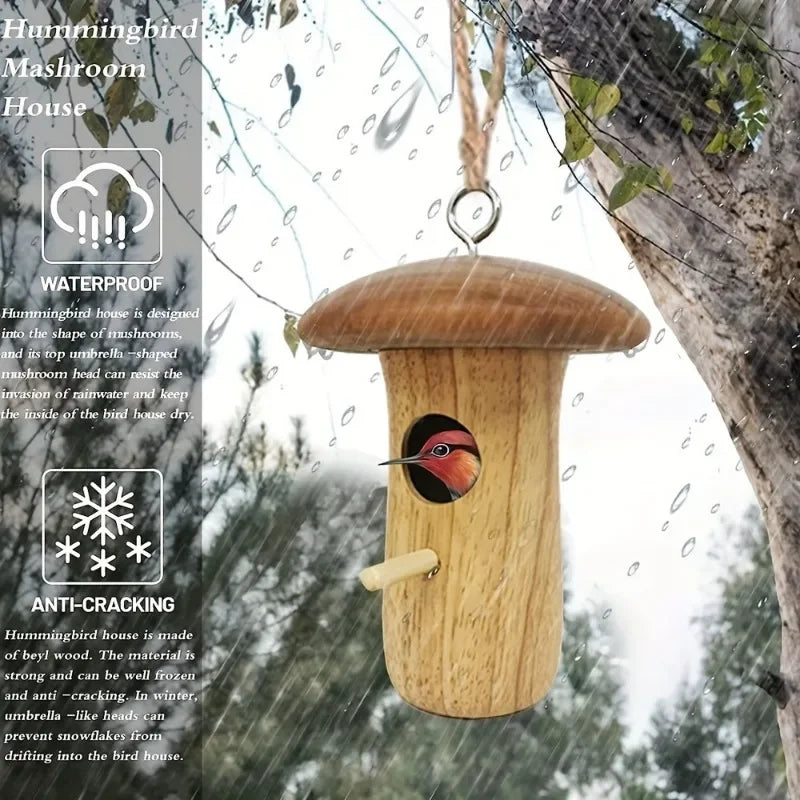 Maison extérieure pour oiseaux