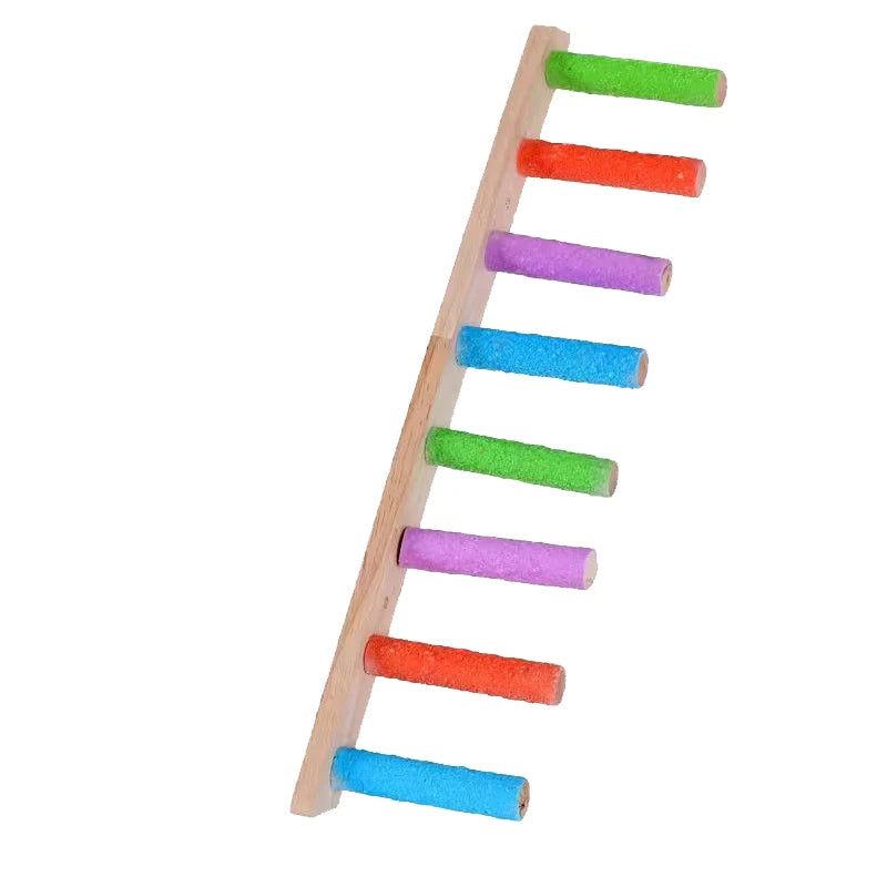 Echelle d’escalade pour oiseaux