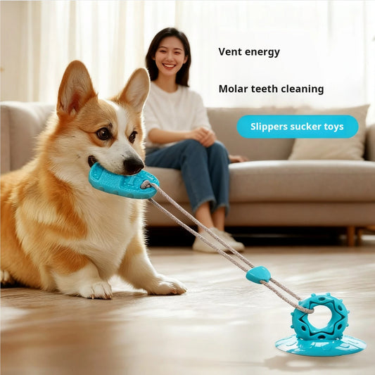 Jouet avec ventouse pour stimuler les chiens