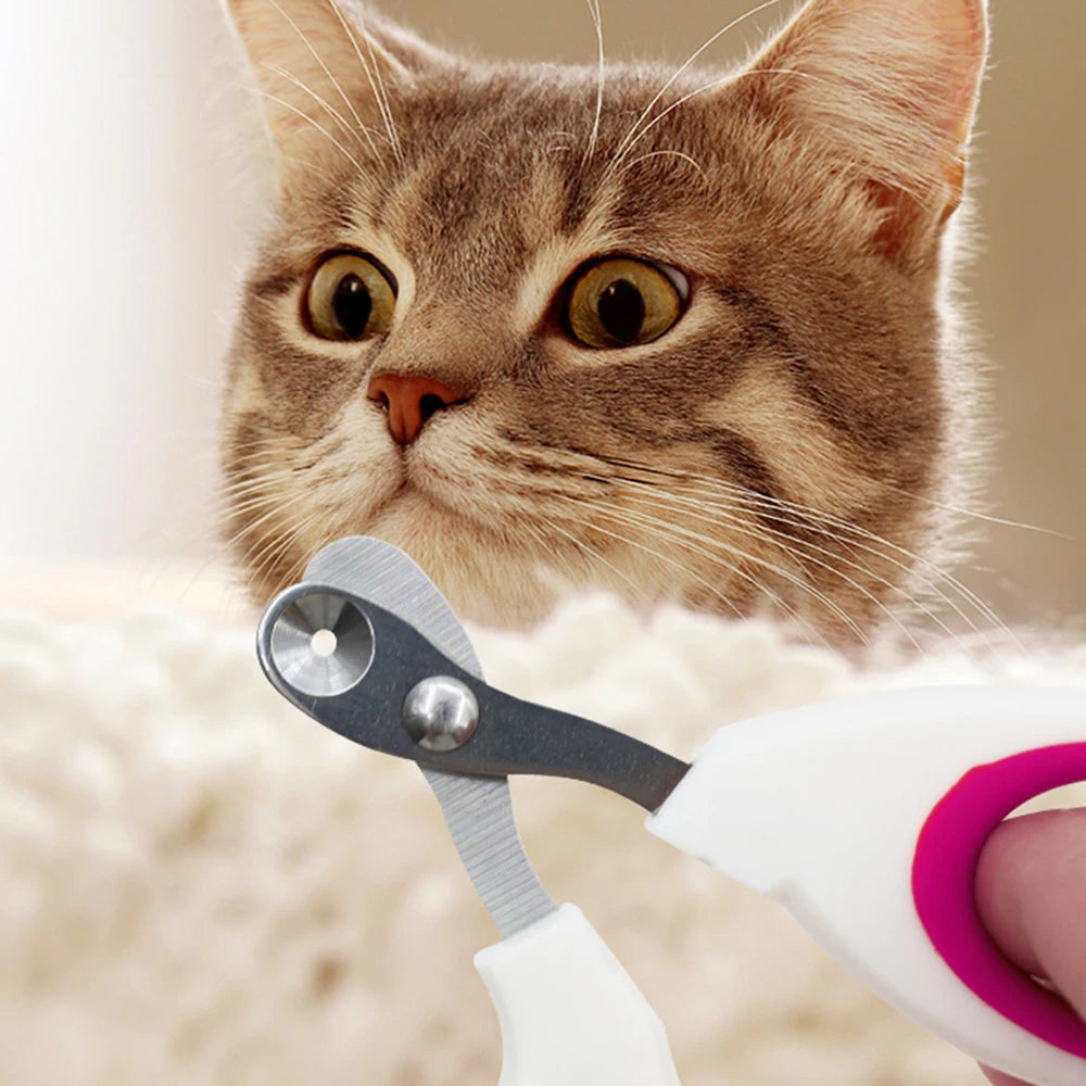 Petit coupe-ongles pour chats