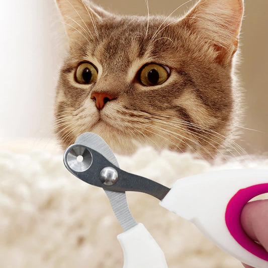 Petit coupe-ongles pour chats