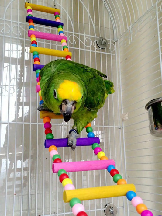 Colorful Wooden Bird Ladder & Swing - Perfect Habitat For Small Parrots