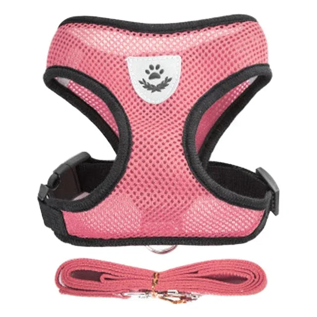 Harnais réglable pour chats et chiens