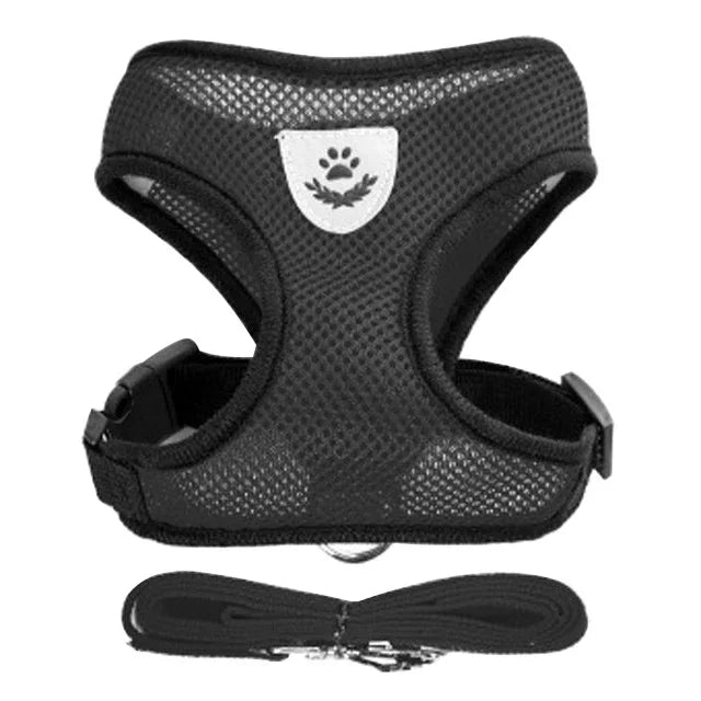 Harnais réglable pour chats et chiens