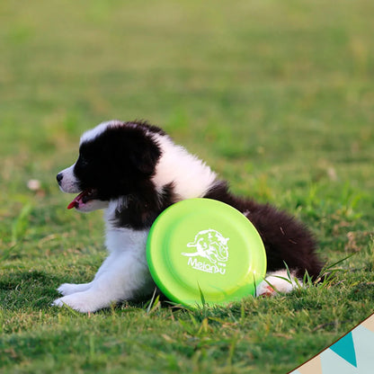 Disque de dressage pour chiens
