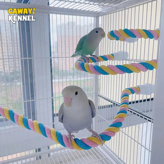 Jouet d’entraînement pour oiseaux